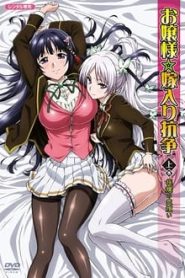 Ojou-sama Yomeiri Kousou! Todos os Episodios Online