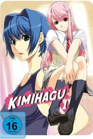 Kimihagu Todos os Episodios Online